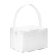 Cooler. Bolsa térmica em 600D 3 L personalizado