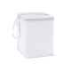 Cooler. Bolsa térmica em 600D 4 L corporativo